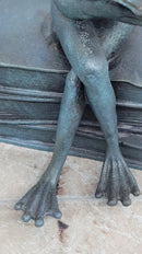 Bronze Frog Sculpture – Reading Frog with Glasses