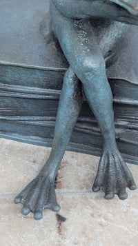 Bronze Frog Sculpture – Reading Frog with Glasses