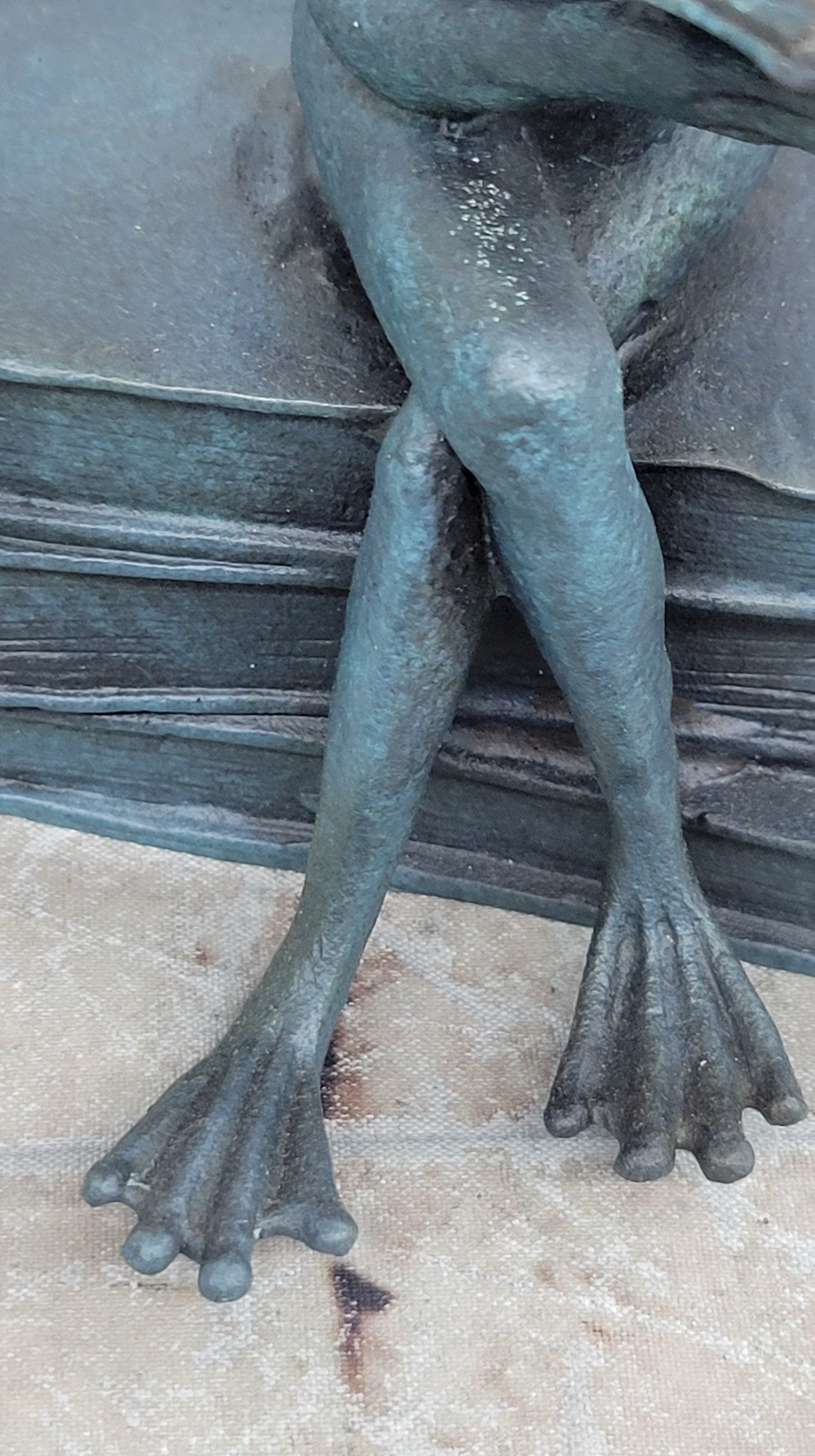 Bronze Frog Sculpture – Reading Frog with Glasses