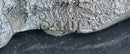 Signed Vienna Bronze Marble Leopard Panther Cat Sculpture