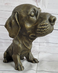 Floppy Eared Dog Bronze Sculpture Signed Collectible 9" x 9"