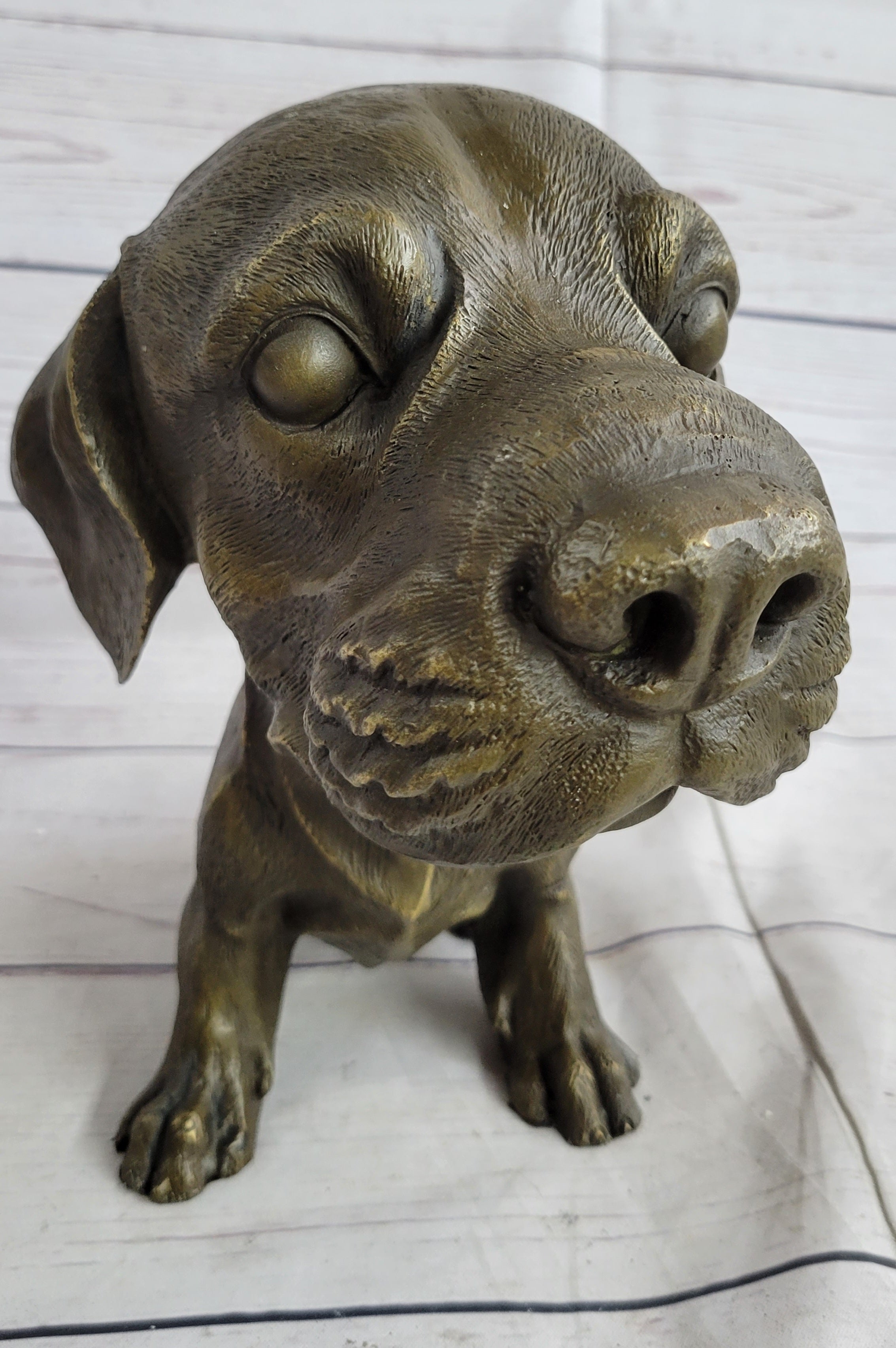 Floppy Eared Dog Bronze Sculpture Signed Collectible 9" x 9"