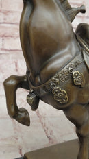 Chinese Tang Horse Bronze Sculpture 14" x 14"
