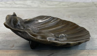 Sleeping Baby Boy in Clam Shell Bronze Soap Dish Ashtray