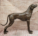 Large Bronze Dog - Realistic Standing Sculpture for Home or Garden
