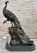 Milo Peacock Bronze Sculpture Bird