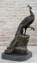 Milo Peacock Bronze Sculpture Bird