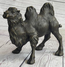 Dromedary or Bactrian Camel Bronze Sculpture Milo 8.5" x 12"