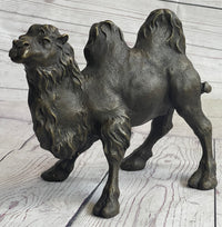 Dromedary or Bactrian Camel Bronze Sculpture Milo 8.5" x 12"