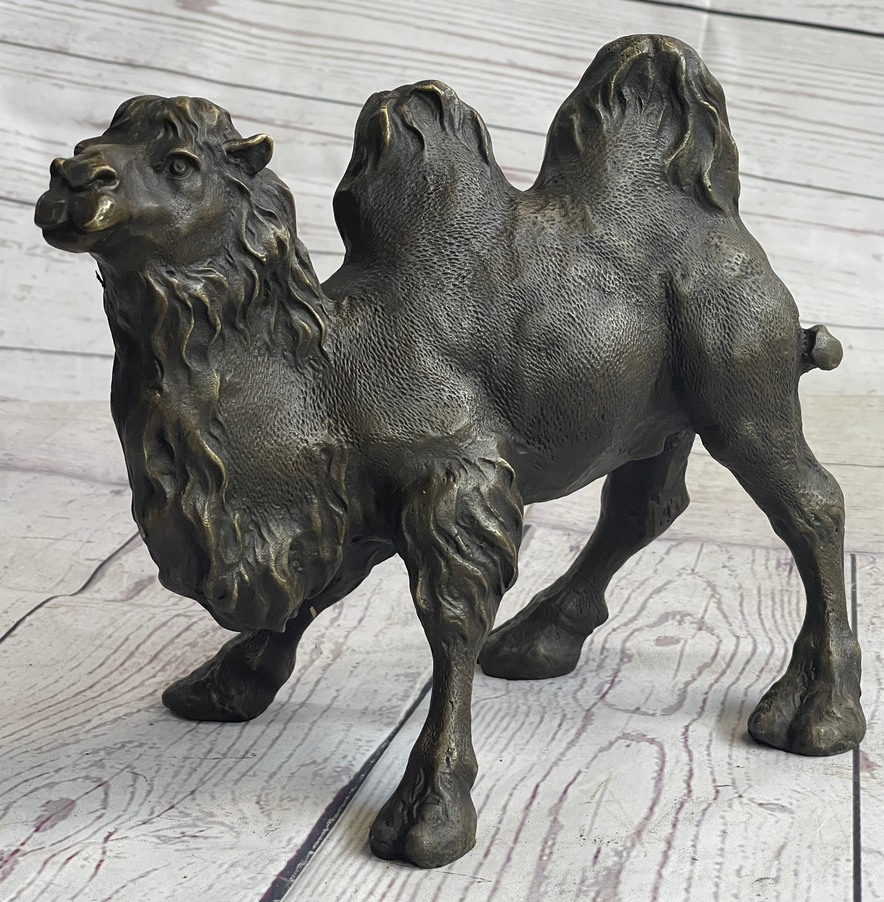 Dromedary or Bactrian Camel Bronze Sculpture Milo 8.5" x 12"