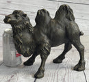 Dromedary or Bactrian Camel Bronze Sculpture Milo 8.5" x 12"