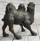 Dromedary or Bactrian Camel Bronze Sculpture Milo 8.5" x 12"