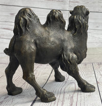 Dromedary or Bactrian Camel Bronze Sculpture Milo 8.5" x 12"