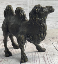 Dromedary or Bactrian Camel Bronze Sculpture Milo 8.5" x 12"