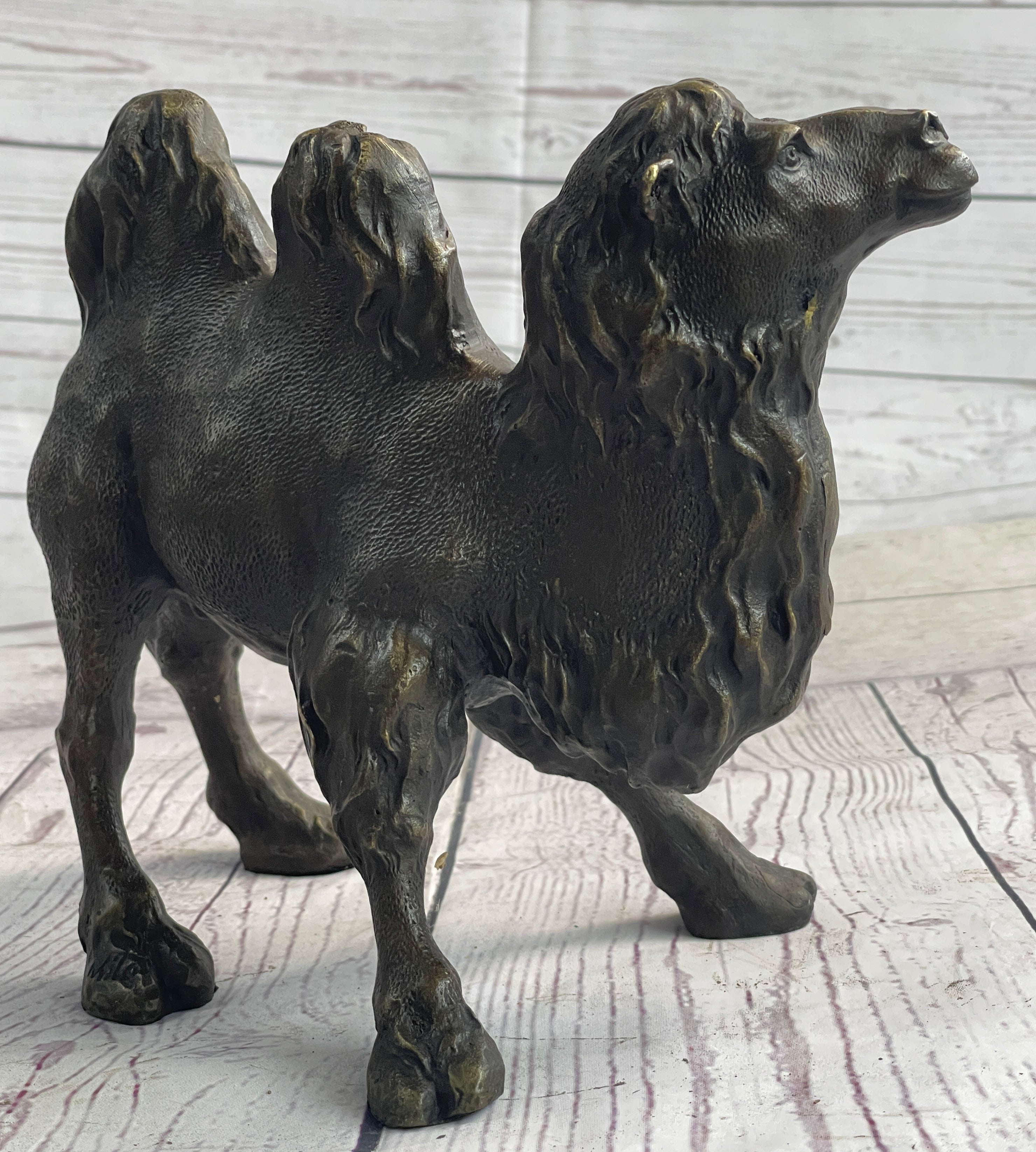 Dromedary or Bactrian Camel Bronze Sculpture Milo 8.5" x 12"