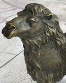 Dromedary or Bactrian Camel Bronze Sculpture Milo 8.5" x 12"