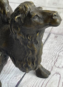 Dromedary or Bactrian Camel Bronze Sculpture Milo 8.5" x 12"
