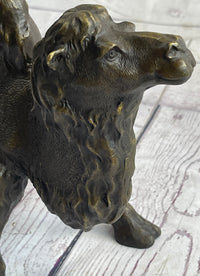 Dromedary or Bactrian Camel Bronze Sculpture Milo 8.5" x 12"