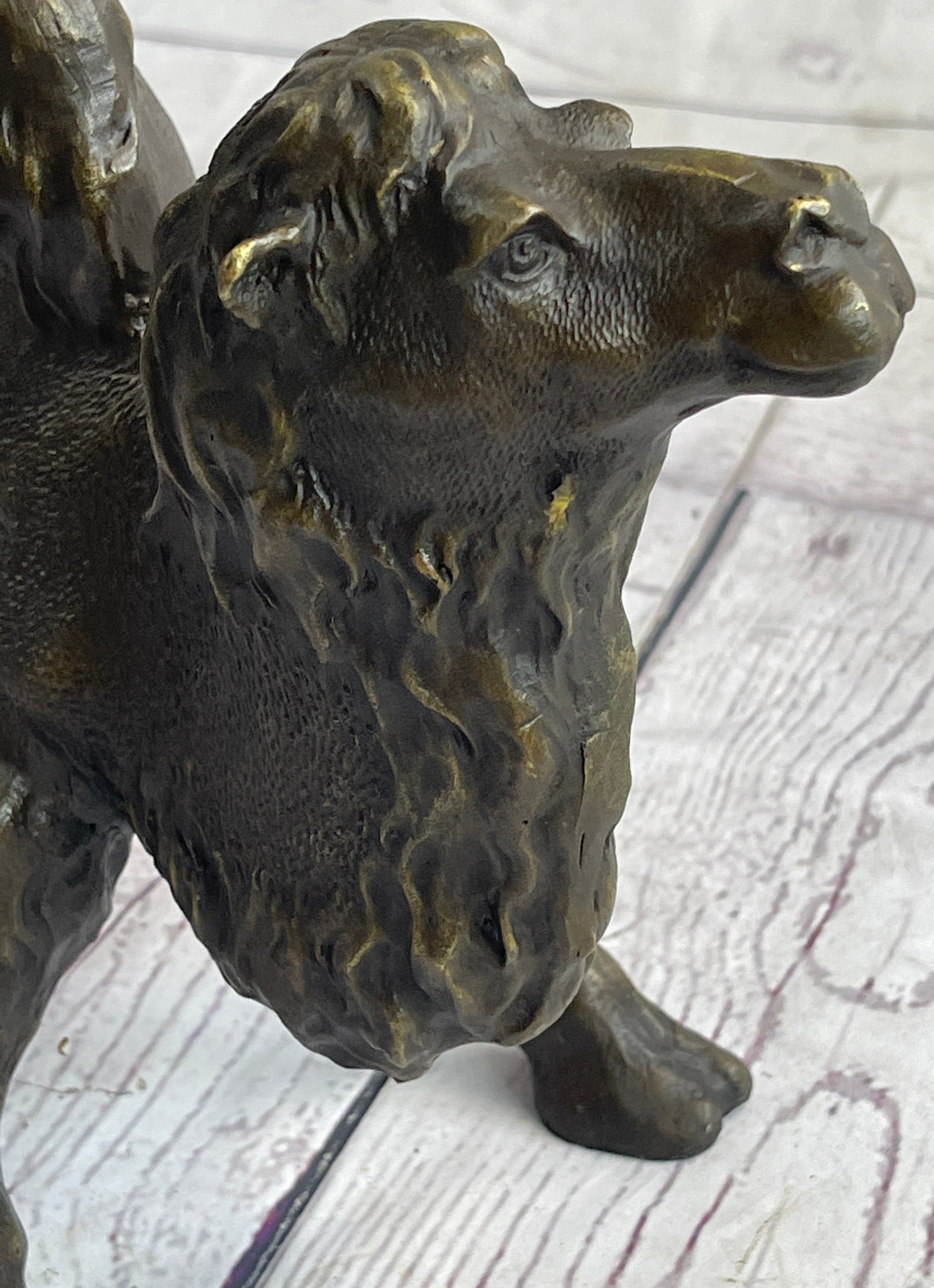 Dromedary or Bactrian Camel Bronze Sculpture Milo 8.5" x 12"