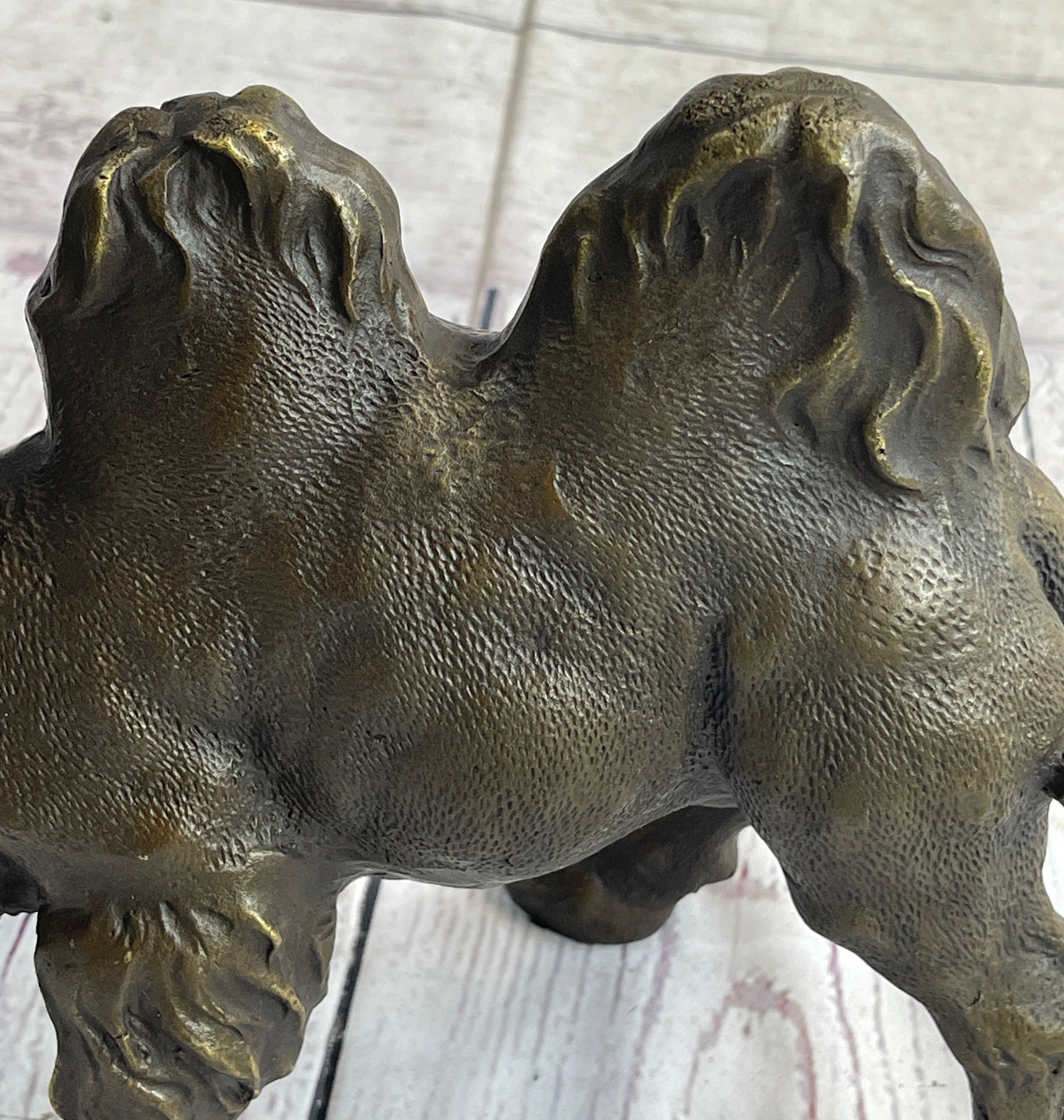 Dromedary or Bactrian Camel Bronze Sculpture Milo 8.5" x 12"