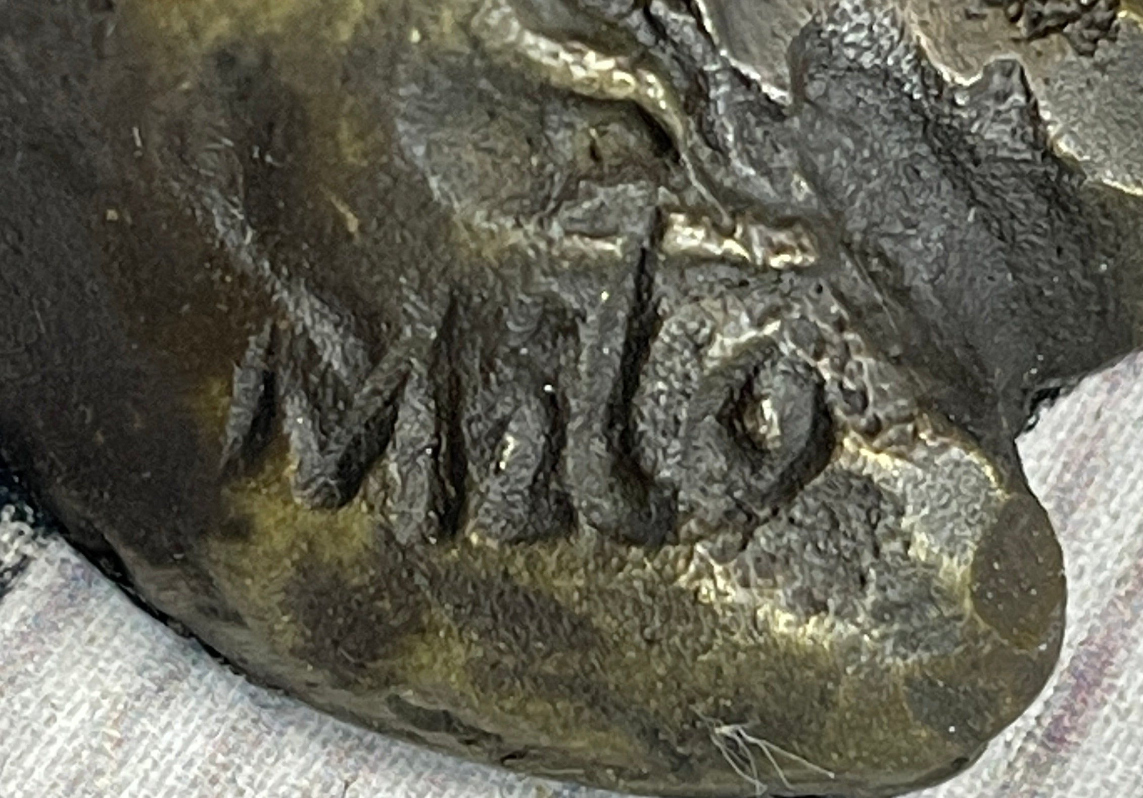 Dromedary or Bactrian Camel Bronze Sculpture Milo 8.5" x 12"