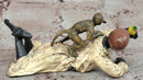 Vienna Bronze Sculpture by Bergman: Arab Man with Monkey