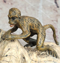 Vienna Bronze Sculpture by Bergman: Arab Man with Monkey