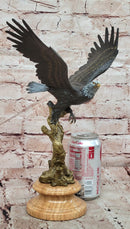Signed Original Juno American Bald Eagle Wildlife Artwork Bronze Sculpture Statue