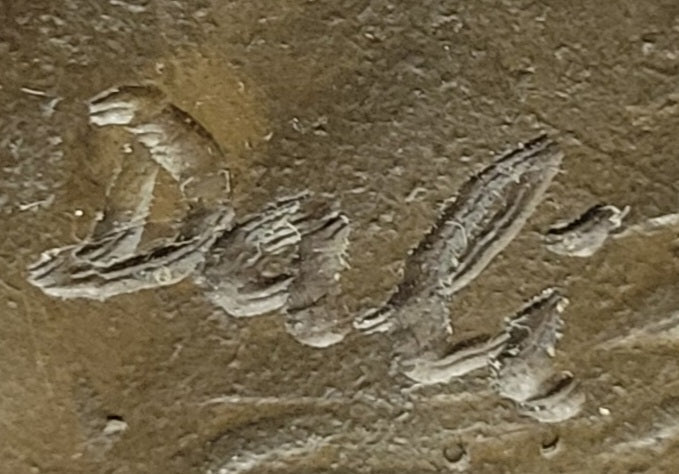 Bronze Thumbs-Up Sculpture on Marble Base - Signed Art