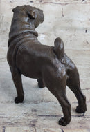 Hot Cast Bronze Shar Pei Dog Sculpture Art