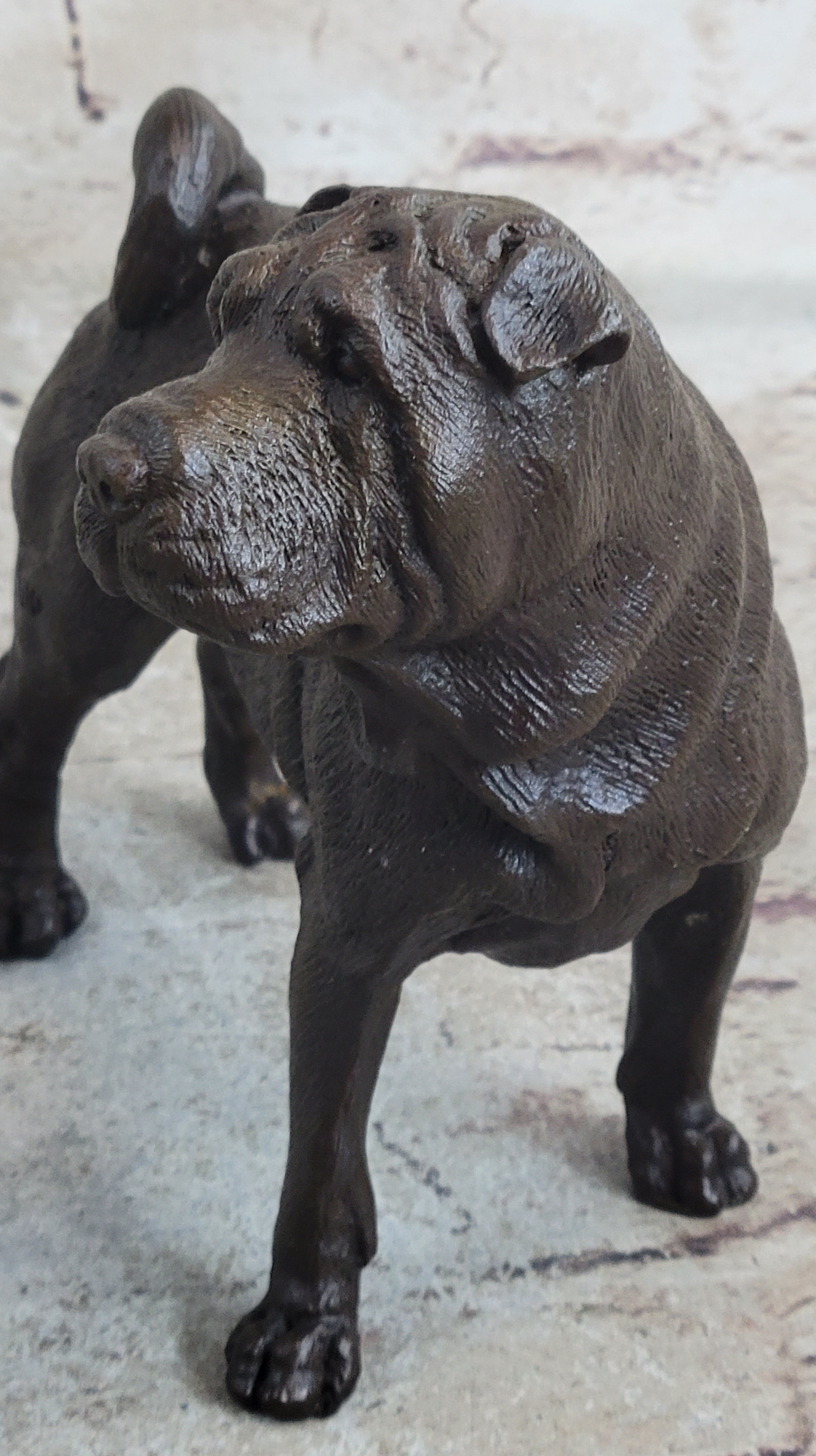 Hot Cast Bronze Shar Pei Dog Sculpture Art