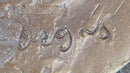 Dancer: Arabesque on Right Leg Hirshhorn Museum Bronze
