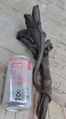 Bronze Iguana on Tree Branch Sculpture Classic Reptile Artwork