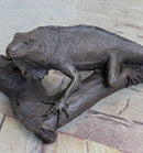 Bronze Iguana on Tree Branch Sculpture Classic Reptile Artwork