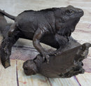 Bronze Iguana on Tree Branch Sculpture Classic Reptile Artwork