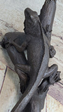 Bronze Iguana on Tree Branch Sculpture Classic Reptile Artwork