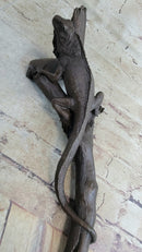 Bronze Iguana on Tree Branch Sculpture Classic Reptile Artwork