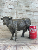 Milk Cow Cattle Bronze Sculpture 9" x 11"