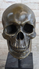 Hot Cast Bronze Skull Skeleton Metal Bust on Marble Base Milo