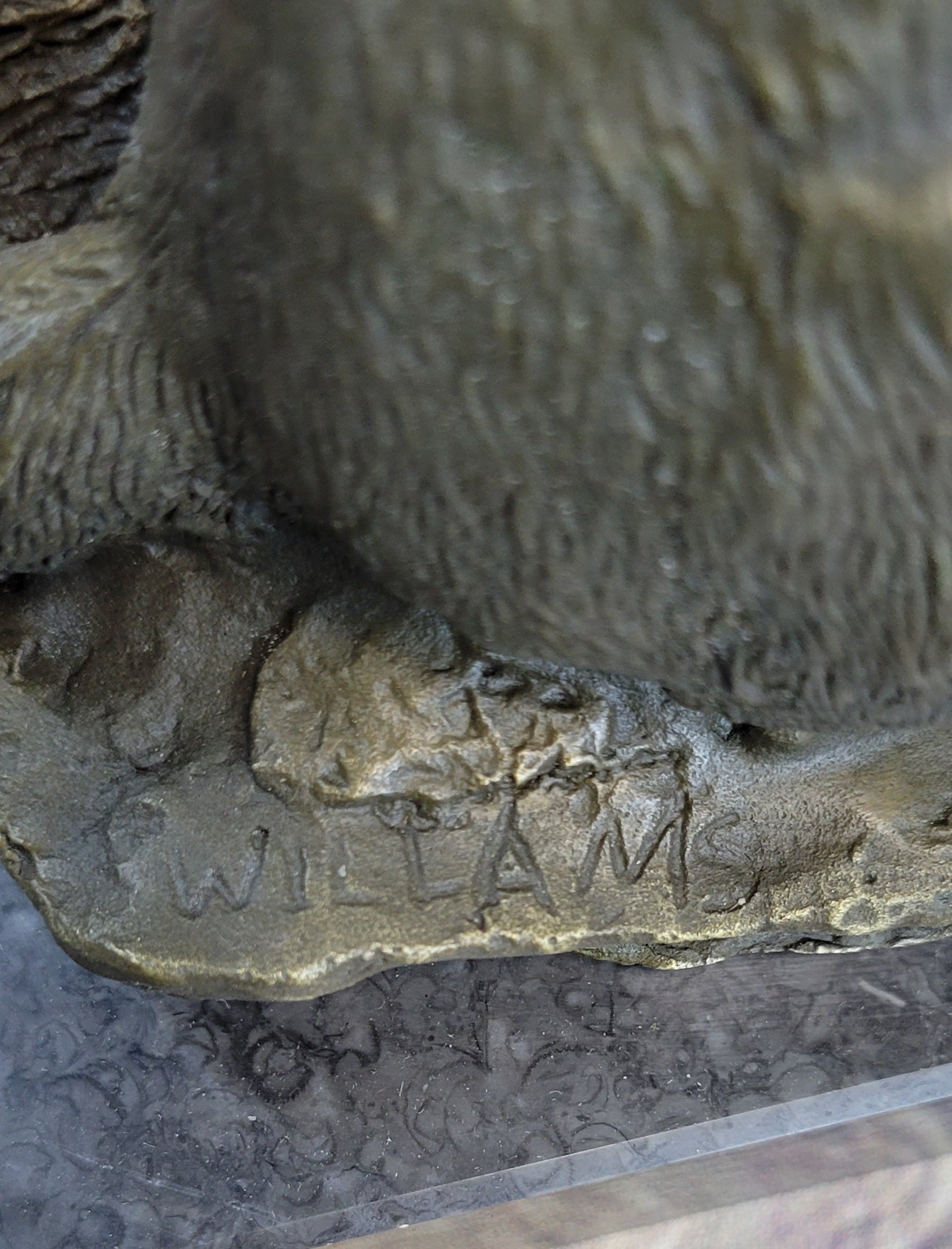 Signed Hot Cast Fox Shy Animal Bronze Sculpture by Williams