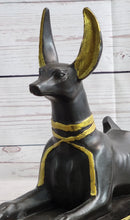 Anubis Jackal Bust on Plinth Antique Bronze by Milo