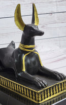 Anubis Jackal Bust on Plinth Antique Bronze by Milo