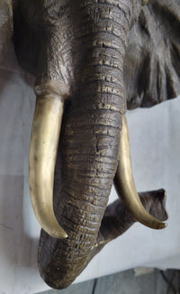 Wall Mounted Bronze Elephant Head Bust Sculpture Signed Art