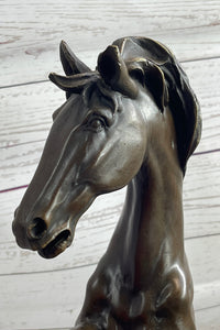 Bronze Rearing Wild Stallion Horse Sculpture Signed Art