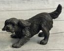 Cavalier King Charles Spaniel Puppy Bronze Metal Sculpture