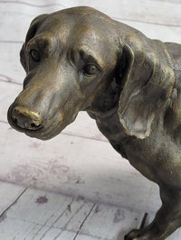 Dachshund Weiner Dog Bronze Metal Figure 9" x 17"