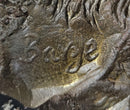 Mother Elephant & Calf Bronze Sculpture on Marble Base Barye