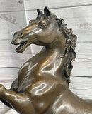 Rearing Horse Trainer Equestrian Bronze on Marble Sculpture