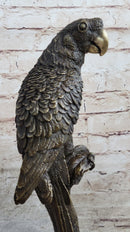 Parrot Bird Bronze Sculpture on Marble Base Signed 13" x 7"