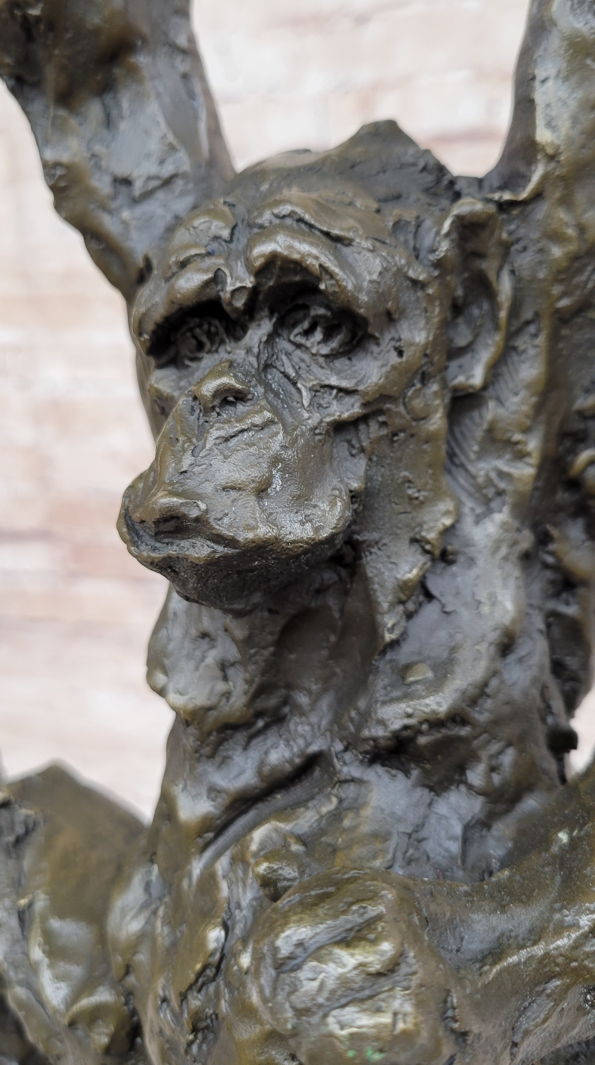 Playful Chimpanzee Swing on Bar Bronze by C. Williams
